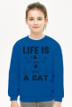 Bluza dziecięca klasyczna