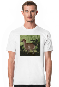 Welociraptor