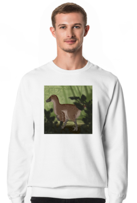 Welociraptor