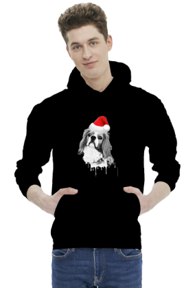 Świąteczny King Charles Cavalier