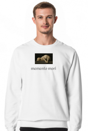 inconnent lamb
