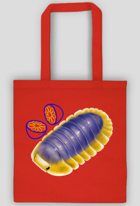 Torba - Cubaris sp lemon blue