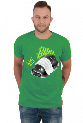 Koszulka - Cubaris sp "panda king"