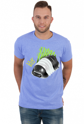 Koszulka - Cubaris sp "panda king"