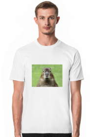 Kapibara przerażające spojrzenie t shirt