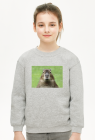 Kapibara przerażające spojrzenie bluza