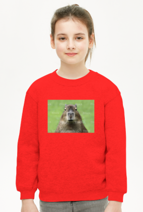 Kapibara przerażające spojrzenie bluza