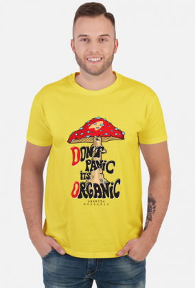 1977 Grzyb MUCHOMOR Amanita Panic Organic