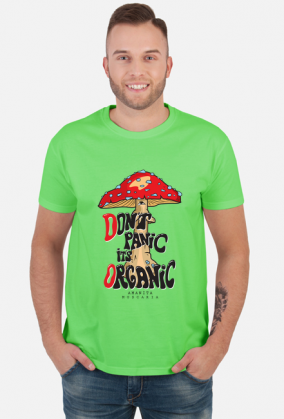1977 Grzyb MUCHOMOR Amanita Panic Organic