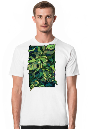 Monstera
