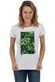 Monstera