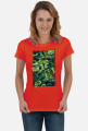 Monstera