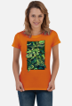 Monstera