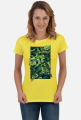 Monstera