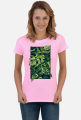 Monstera