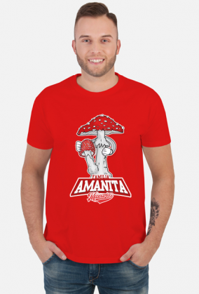 Amanita muscaria muchomor