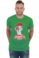 Amanita muscaria muchomor