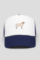 Czapka z daszkiem Labrador