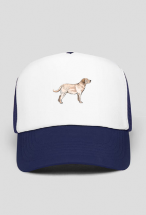 Czapka z daszkiem Labrador