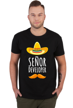 Senior. Programista. Prezent