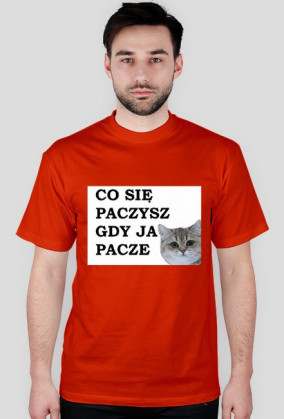 paczysz