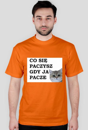 paczysz