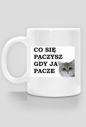 paczysz