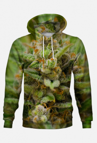 Bluza z kapturem Lemon Haze