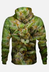 Bluza z kapturem Lemon Haze