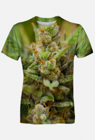 Koszulka Lemon Haze męska