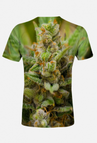 Koszulka Lemon Haze męska