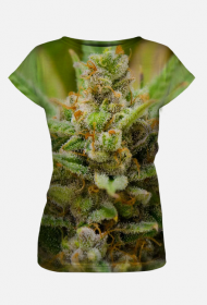 Koszulka Lemon Haze damska