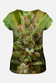 Koszulka Lemon Haze damska