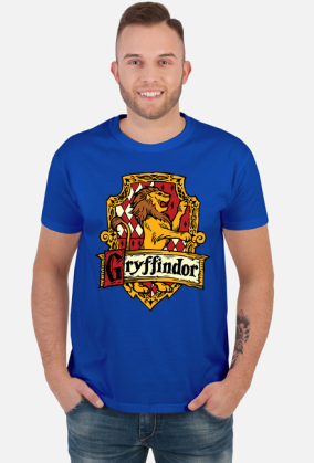 Hogwart Legacy Gryffindor Harry Potter