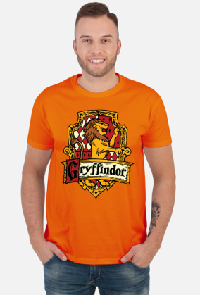 Hogwart Legacy Gryffindor Harry Potter