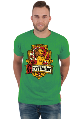 Hogwart Legacy Gryffindor Harry Potter