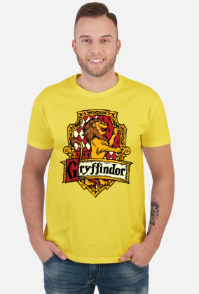 Hogwart Legacy Gryffindor Harry Potter