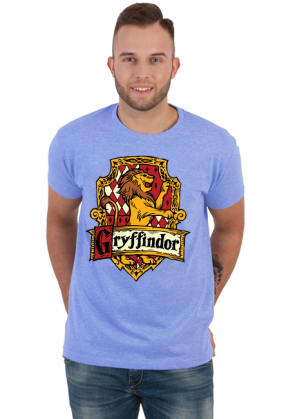 Hogwart Legacy Gryffindor Harry Potter