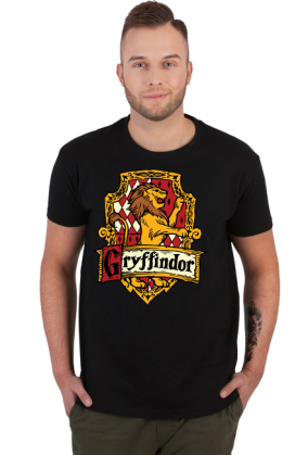 Hogwart Legacy Gryffindor Harry Potter