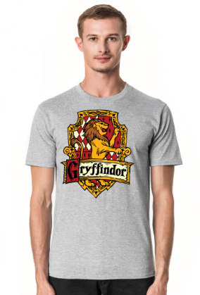 Hogwart Legacy Gryffindor Harry Potter