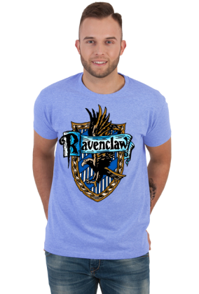 Hogwart Legacy Ravenclaw Harry Potter