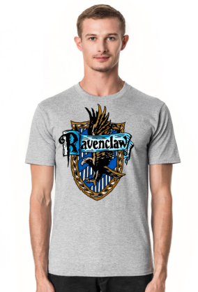 Hogwart Legacy Ravenclaw Harry Potter