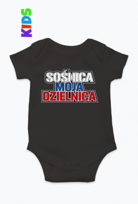 Sośnica Moja Dzielnica V2 (bodziaki)