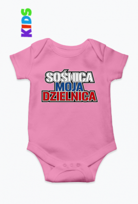 Sośnica Moja Dzielnica V2 (bodziaki)