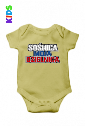 Sośnica Moja Dzielnica V2 (bodziaki)