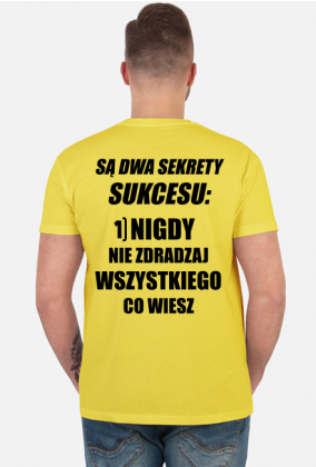 Dwa sekrety sukcesu (koszulka męska) cg