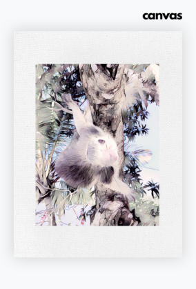 m 97