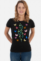 Motyl