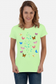 Motyl