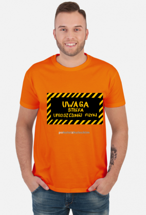 Strefa Uproszczonej Fizyki